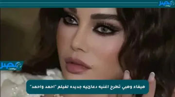 هيفاء وهبي تطرح أغنية دعائية جديدة لفيلم “أحمد وأحمد”